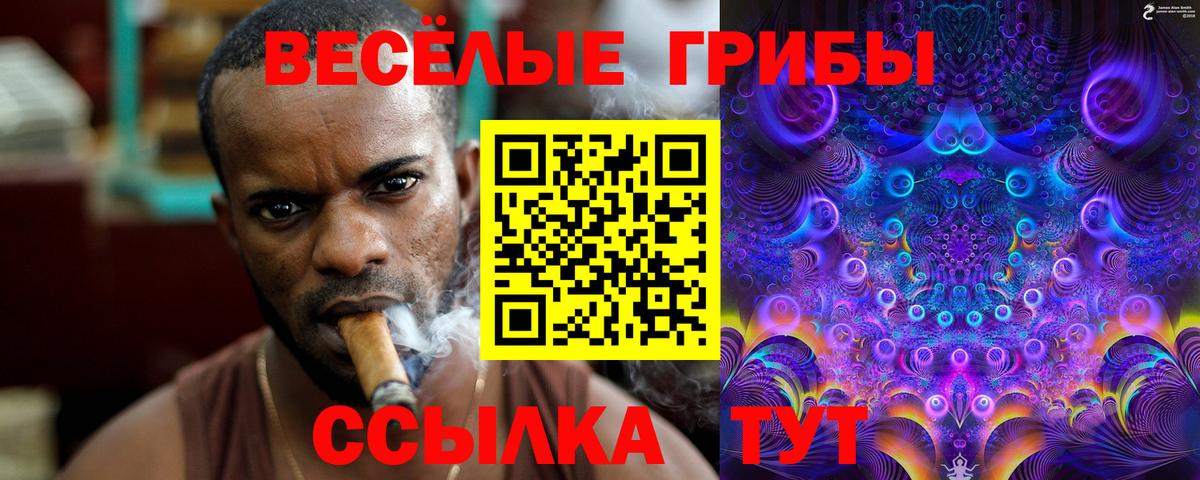 Псилоцибиновые грибы MAGIC MUSHROOMS Новотроицк